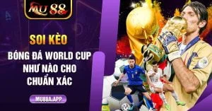 2 Soi Keo Bong Da World Cup Nhu Nao Cho Chuan Xac