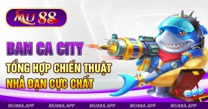 2 Ban Ca City Tong Hop Chien Thuat Nha Dan Cuc Chat